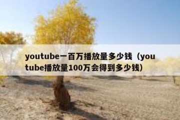 youtube一百万播放量多少钱（youtube播放量100万会得到多少钱）