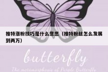 推特涨粉技巧是什么意思（推特粉丝怎么发展到两万）
