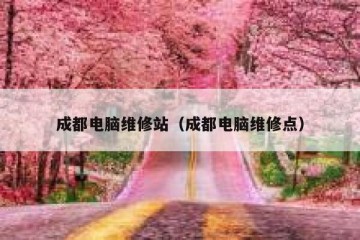 成都电脑维修站（成都电脑维修点）