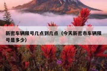 新密车辆限号几点到几点（今天新密市车辆限号是多少）