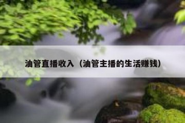 油管直播收入（油管主播的生活赚钱）