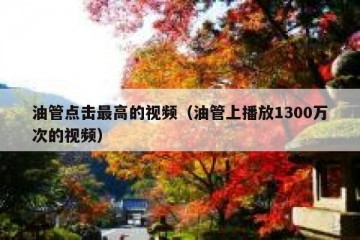 油管点击最高的视频（油管上播放1300万次的视频）