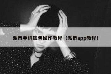 派币手机钱包操作教程（派币app教程）