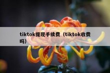 tiktok提现手续费（tiktok收费吗）