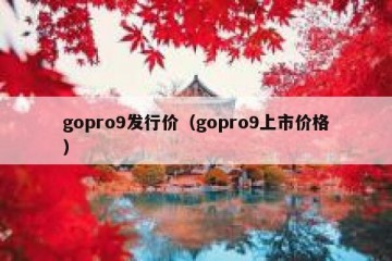 gopro9发行价（gopro9上市价格）