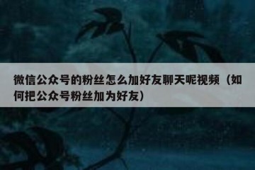 微信公众号的粉丝怎么加好友聊天呢视频（如何把公众号粉丝加为好友）