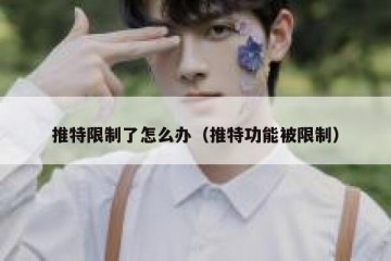 推特限制了怎么办（推特功能被限制）