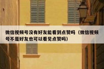 微信视频号没有好友能看到点赞吗（微信视频号不是好友也可以看见点赞吗）