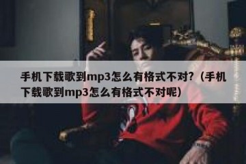 手机下载歌到mp3怎么有格式不对?（手机下载歌到mp3怎么有格式不对呢）