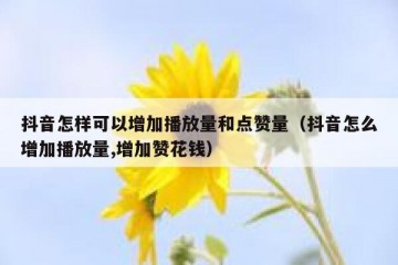 抖音怎样可以增加播放量和点赞量（抖音怎么增加播放量,增加赞花钱）