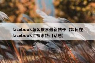 facebook怎么搜索最新帖子（如何在facebook上搜索热门话题）