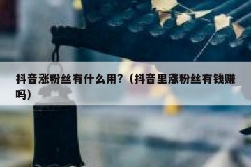 抖音涨粉丝有什么用?（抖音里涨粉丝有钱赚吗）