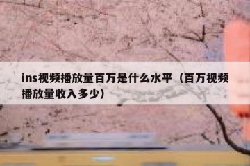 ins视频播放量百万是什么水平（百万视频播放量收入多少）