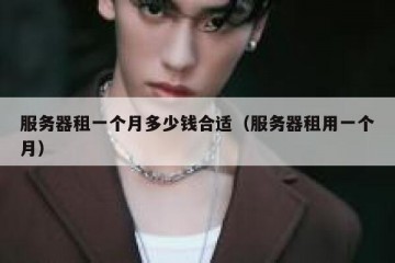 服务器租一个月多少钱合适（服务器租用一个月）