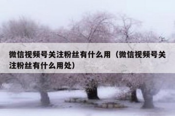 微信视频号关注粉丝有什么用（微信视频号关注粉丝有什么用处）
