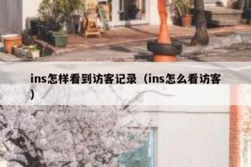 ins怎样看到访客记录（ins怎么看访客）