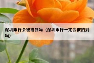 深圳限行会被拍到吗（深圳限行一定会被拍到吗）