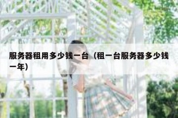 服务器租用多少钱一台（租一台服务器多少钱一年）
