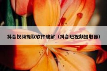 抖音视频提取软件破解（抖音短视频提取器）