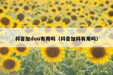 抖音加dou有用吗（抖音加抖有用吗）