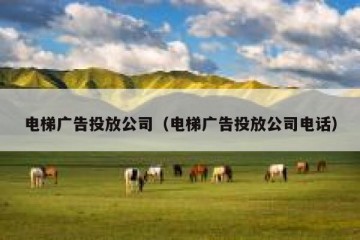 电梯广告投放公司（电梯广告投放公司电话）