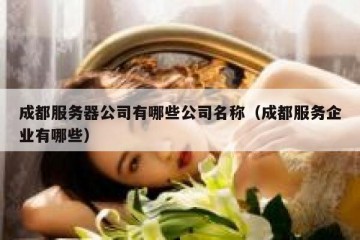 成都服务器公司有哪些公司名称（成都服务企业有哪些）