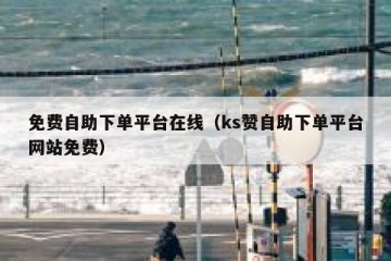 免费自助下单平台在线（ks赞自助下单平台网站免费）