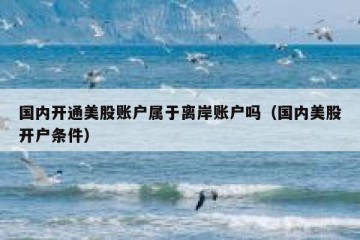 国内开通美股账户属于离岸账户吗（国内美股开户条件）