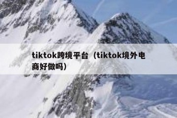 tiktok跨境平台（tiktok境外电商好做吗）