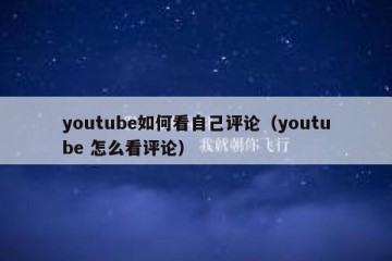youtube如何看自己评论（youtube 怎么看评论）