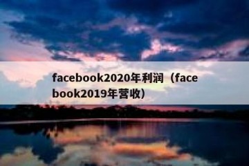 facebook2020年利润（facebook2019年营收）