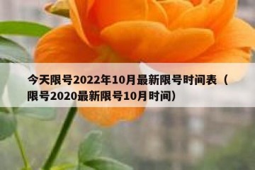 今天限号2022年10月最新限号时间表（限号2020最新限号10月时间）