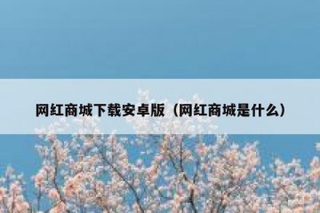 网红商城下载安卓版（网红商城是什么）