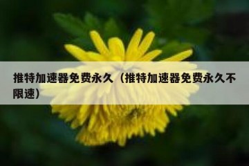 推特加速器免费永久（推特加速器免费永久不限速）