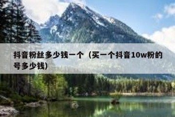 抖音粉丝多少钱一个（买一个抖音10w粉的号多少钱）