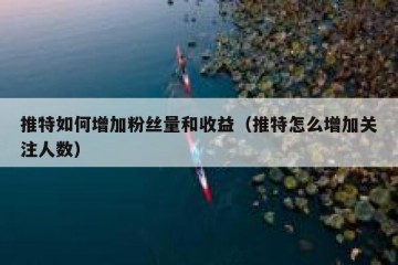 推特如何增加粉丝量和收益（推特怎么增加关注人数）