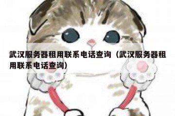 武汉服务器租用联系电话查询（武汉服务器租用联系电话查询）