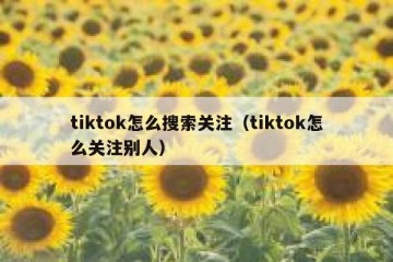 tiktok怎么搜索关注（tiktok怎么关注别人）