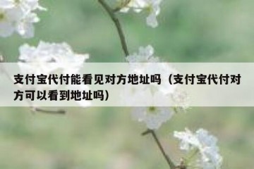 支付宝代付能看见对方地址吗（支付宝代付对方可以看到地址吗）