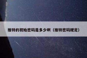 推特的初始密码是多少啊（推特密码规定）