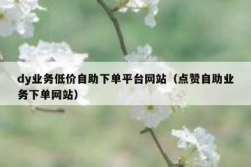 dy业务低价自助下单平台网站（点赞自助业务下单网站）
