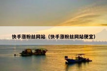 快手涨粉丝网站（快手涨粉丝网站便宜）