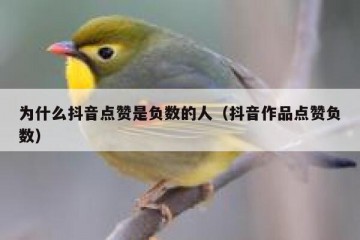 为什么抖音点赞是负数的人（抖音作品点赞负数）