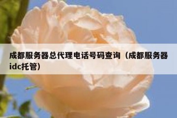 成都服务器总代理电话号码查询（成都服务器idc托管）