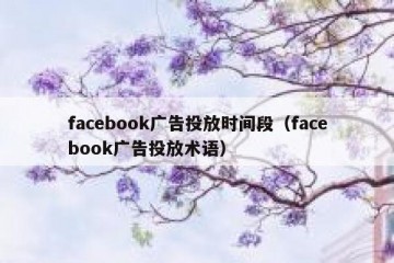 facebook广告投放时间段（facebook广告投放术语）