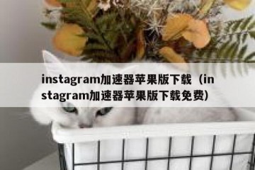 instagram加速器苹果版下载（instagram加速器苹果版下载免费）
