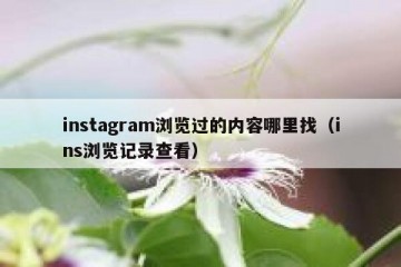 instagram浏览过的内容哪里找（ins浏览记录查看）