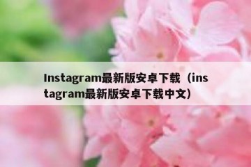 Instagram最新版安卓下载（instagram最新版安卓下载中文）