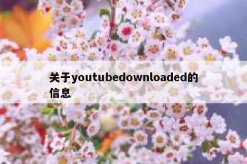 关于youtubedownloaded的信息
