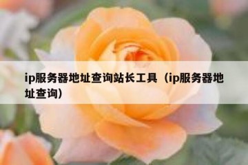 ip服务器地址查询站长工具（ip服务器地址查询）
